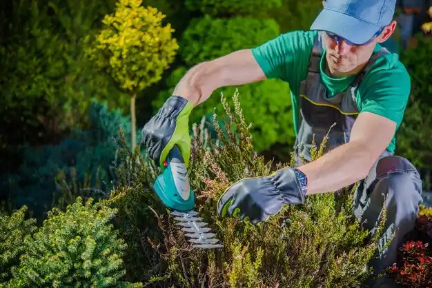 landscaping services Moraine